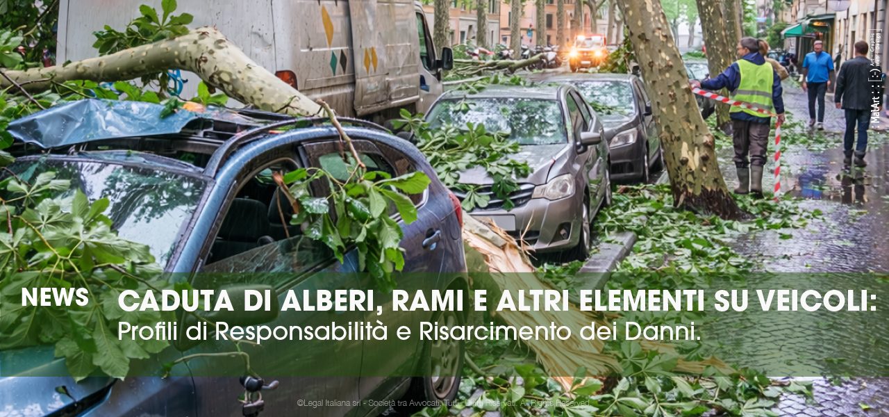 Caduta di alberi, rami e altri elementi su veicoli: profili di responsabilità e risarcimento danni